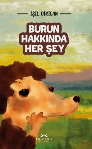 Burun Hakkında Her Şey