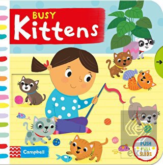 Busy Kittens