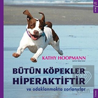 Bütün Köpekler Hiperaktiftir ve Odaklanmakta Zorla