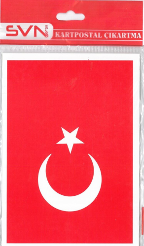 BÜYÜK BAYRAK ÇIKARTMA 13X18 (10 LU POŞET)