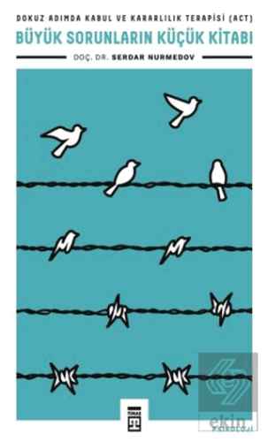 Büyük Sorunların Küçük Kitabı