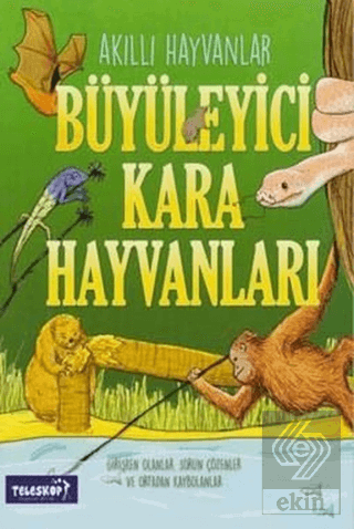 Büyüleyici Kara Hayvanları