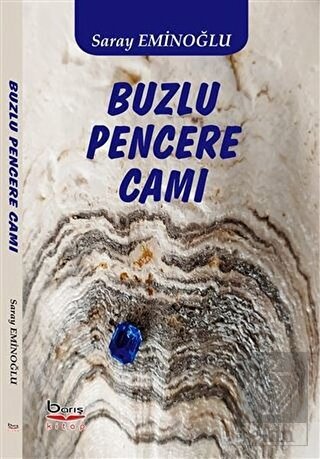 Buzlu Pencere Camı