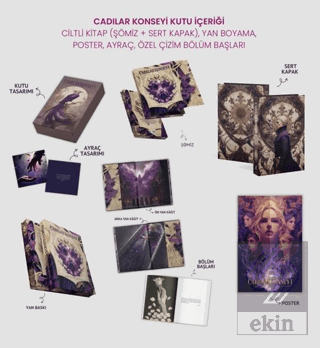 Cadılar Konseyi - Kutulu