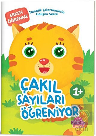 Çakıl Sayıları Öğreniyor