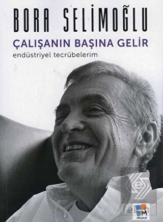 Çalışanın Başına Gelir Endüstriyel Tecrübelerim