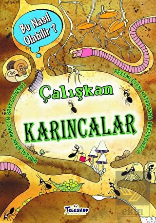 Çalışkan Karıncalar – Bu Nasıl Olabilir?