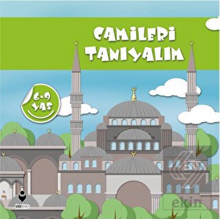 Camileri Tanıyalım