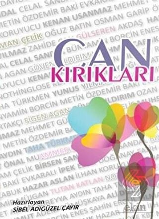 Can Kırıkları