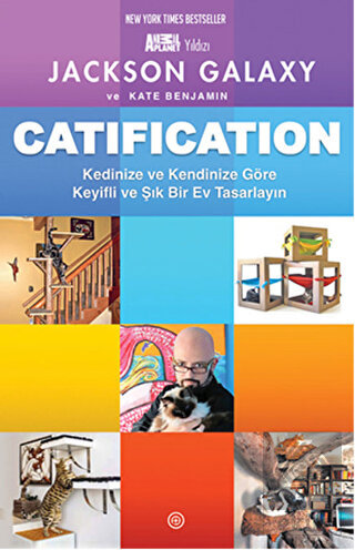 Catification