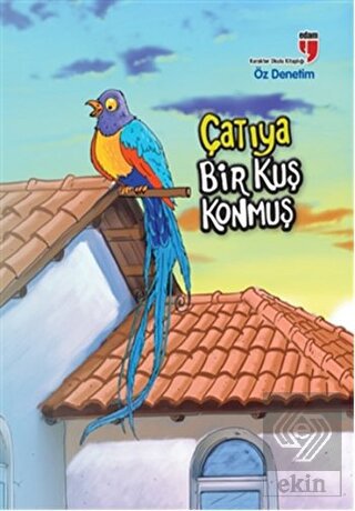 Çatıya Bir Kuş Konmuş - Öz Denetim