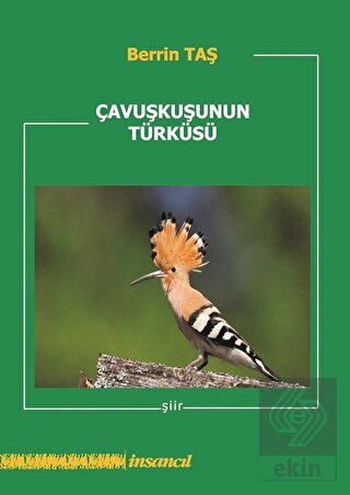 Çavuşkuşunun Türküsü