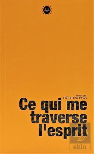 Ce Qui me Traverse I'Esprit (Kafama Takılanlar) Fr