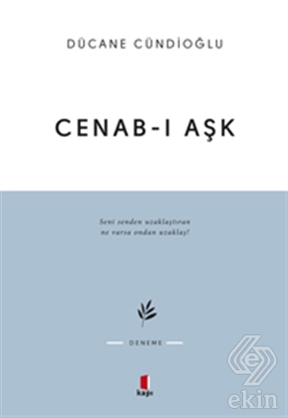 Cenab-ı Aşk
