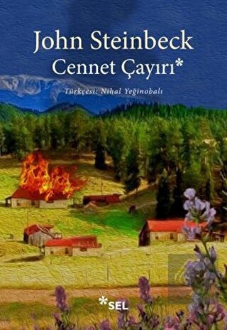 Cennet Çayırı