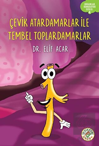 Çevik Atardamarlar İle Tembel Toplardamarlar - Org