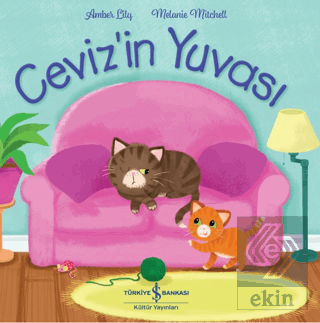 Cevizin Yuvası