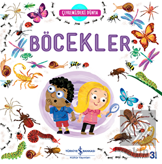 Çevremizdeki Dünya Böcekler