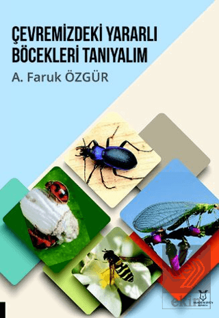 Çevremizdeki Yararlı Böcekleri Tanıyalım