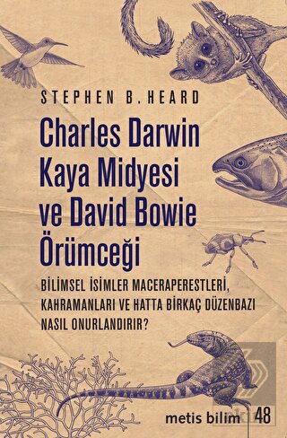 Charles Darwin Kaya Midyesi ve David Bowie Örümceğ
