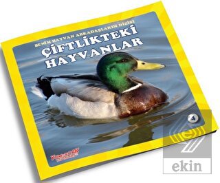 Çiftlikteki Hayvanlar - Benim Hayvan Arkadaşlarım