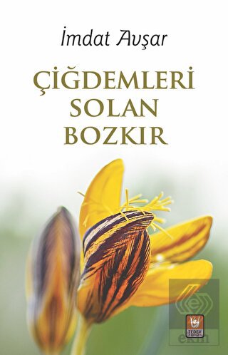 Çiğdemleri Solan Bozkır