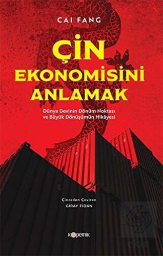 Çin Ekonomisini Anlamak