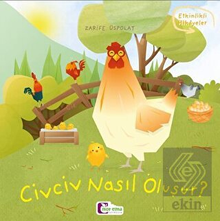 Civciv Nasıl Oluşur?