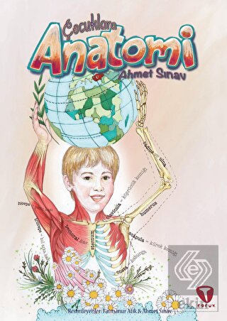 Çocuklara Anatomi