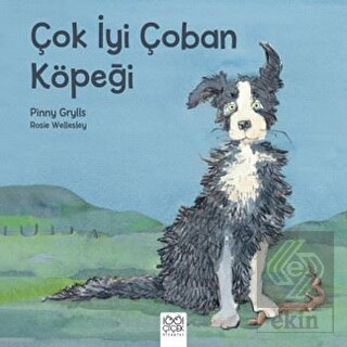Çok İyi Çoban Köpeği