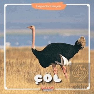 Çöl - Hayvanlar Dünyası