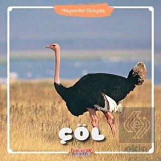 Çöl - Hayvanlar Dünyası