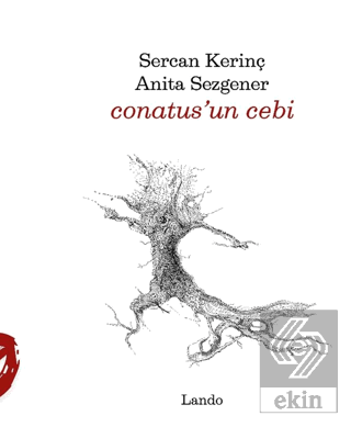 Conatus'un Cebi