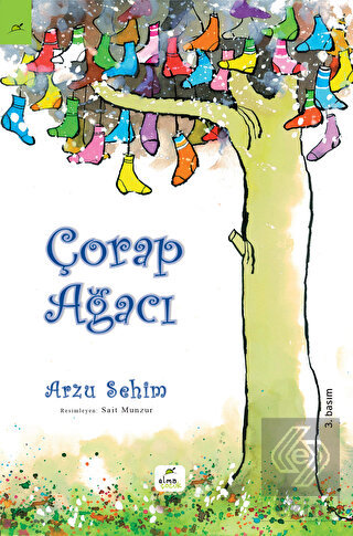 Çorap Ağacı