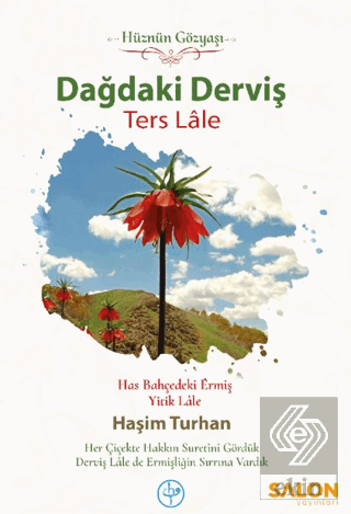 Dağdaki Derviş Ters Lale