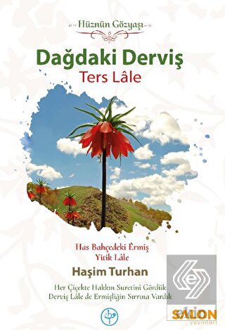 Dağdaki Derviş Ters Lale