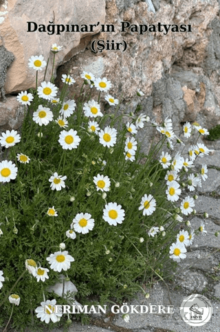 Dağpınar'ın Papatyası