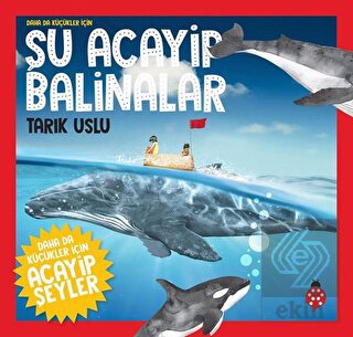 Daha da Küçükler İçin Şu Acayip Balinalar - Daha d