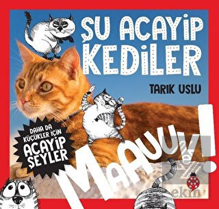 Daha da Küçükler İçin Şu Acayip Kediler - Daha da