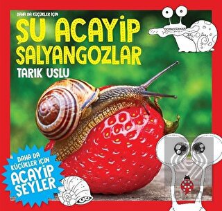 Daha da Küçükler İçin Şu Acayip Salyangozlar