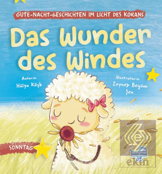 Das Wunder Des Windes