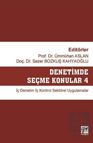 Denetimde Seçme Konular 4