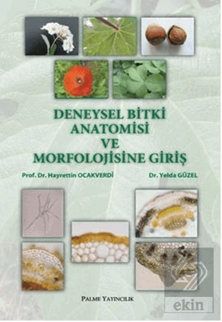 Deneysel Bitki Anatomisi ve Morfolojisine Giriş