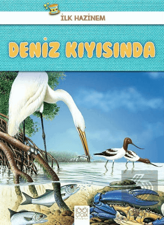 Deniz Kıyısında - İlk Hazinem