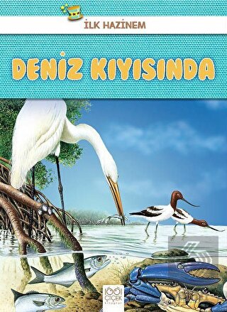 Deniz Kıyısında - İlk Hazinem