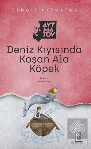 Deniz Kıyısında Koşan Ala Köpek