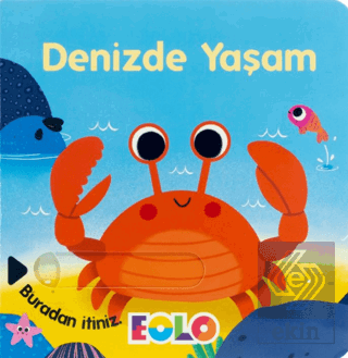 Denizde Yaşam