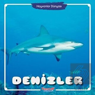 Denizler - Hayvanlar Dünyası