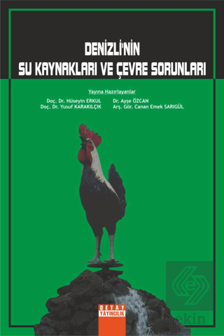 Denizlinin Su Kaynakları Ve Çevre Sorunları