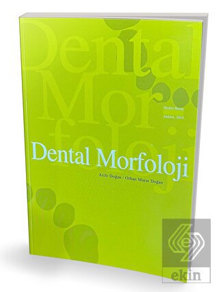 Dental Morfoloji